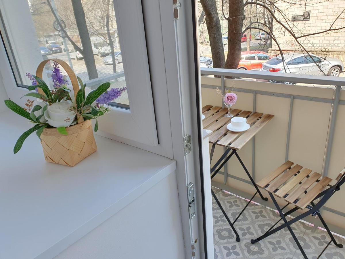 All New And Cozy Apartment In The Silence Center キシナウ エクステリア 写真